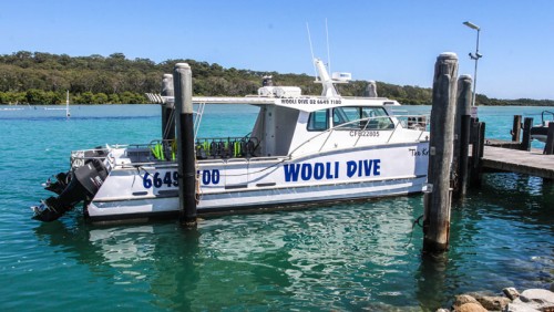 Wooli Dive Charters